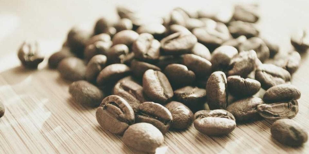 Summer Safety: Keeping Your Dog Cool