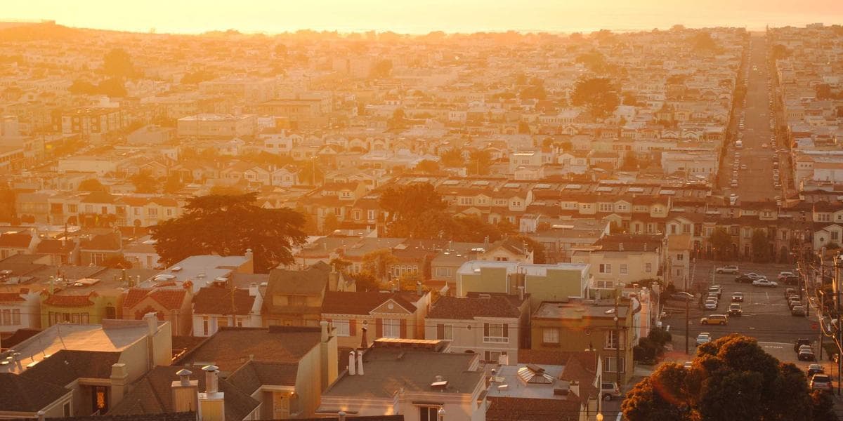 Training Tips for High-Energy Breeds